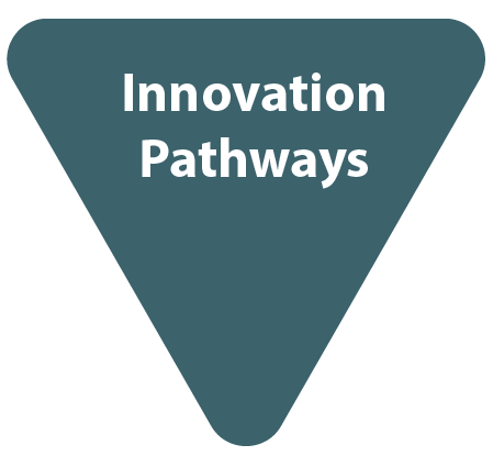 Innovation Pathways – UK FIRES